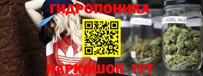 ГАЛЛЮЦИНОГЕННЫЕ ГРИБЫ Татарск